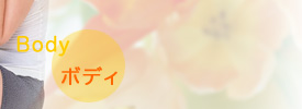 Bodyボディ